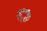 安顺市关岭县回收红酒